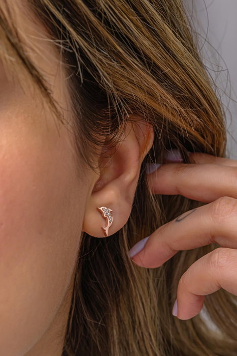 Heliophilia Silver Pendientes de Plata de Ley 925 con Baño de Oro Rosa y Circón